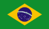 Texto do seu parágrafo (1).png